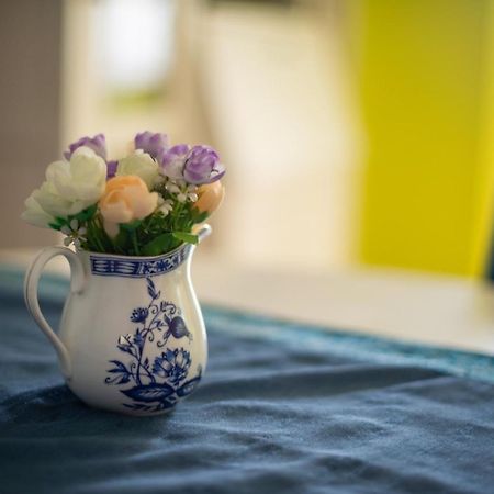 Apartment Dunja Újvidék Kültér fotó